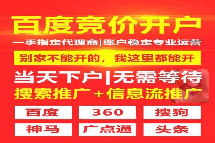 案例分享：网络推广竞价策略应用